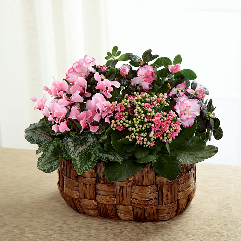 Pink Assortment – Flowers On Fourteenth, Washington DC