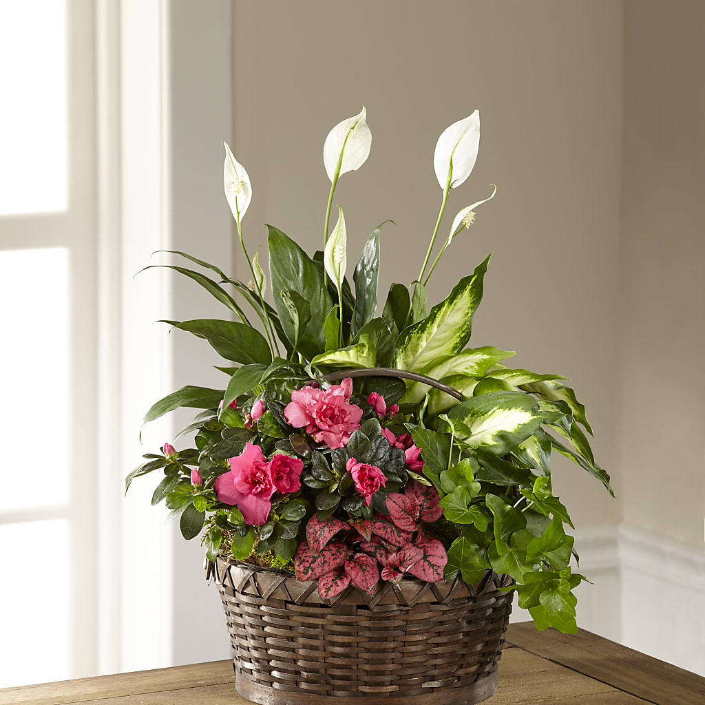 Dream in Pink Dishgarden – Flowers On Fourteenth, Washington DC