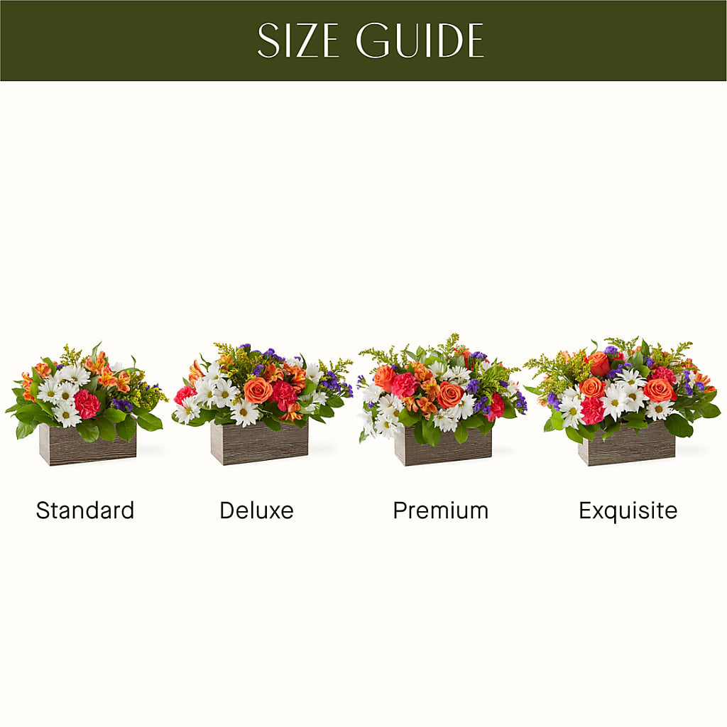 Oopsie Daisy Box Bouquet – Flowers On Fourteenth, Washington DC