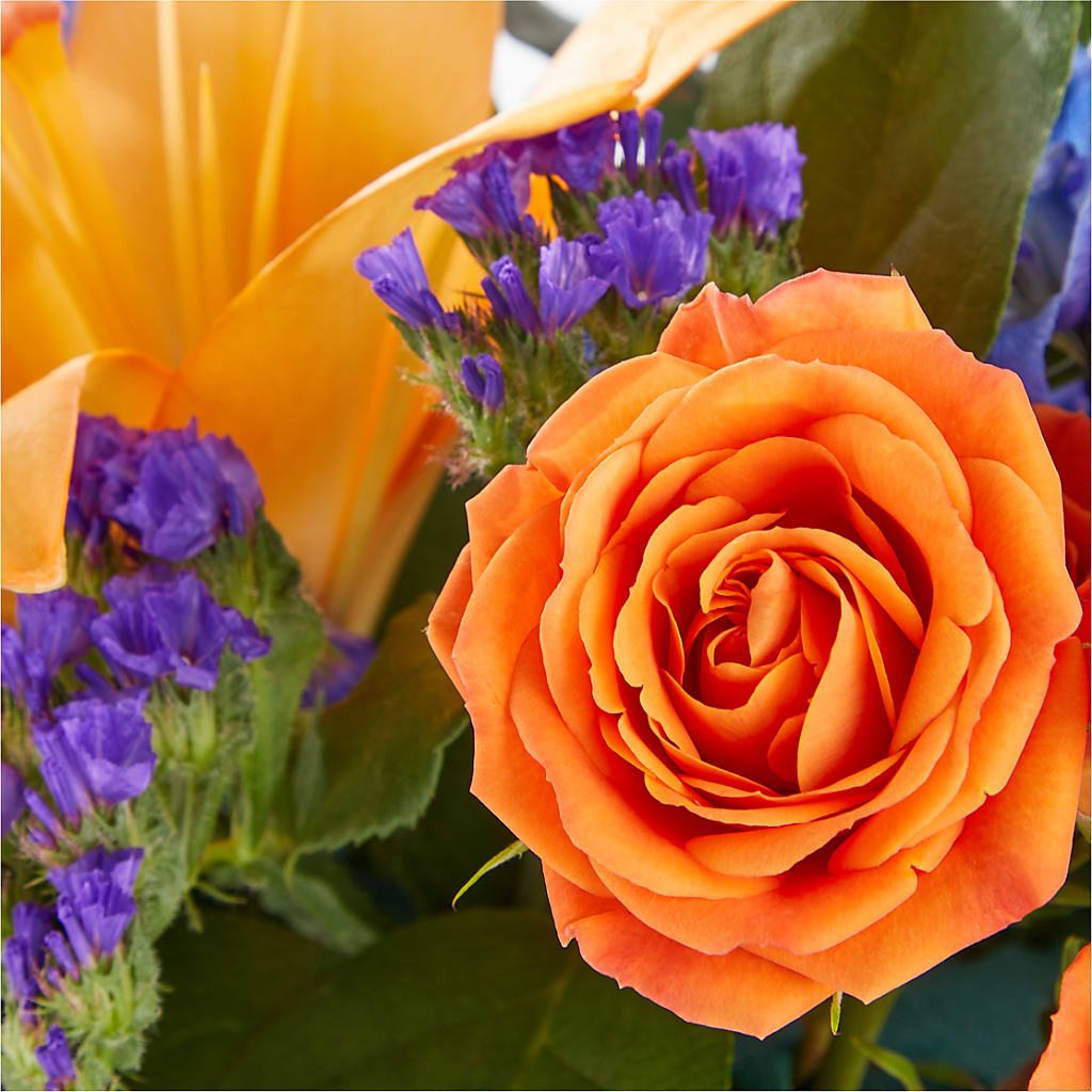 Radiant Citrus Box Bouquet – Flowers On Fourteenth, Washington DC