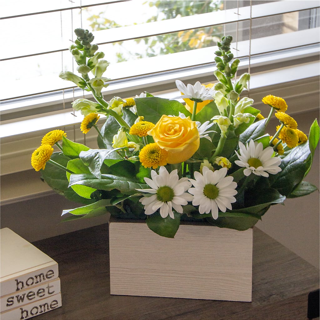 Sun Salutation Box Bouquet – Flowers On Fourteenth, Washington DC