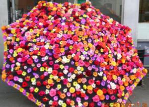 DC Pride Parade–Flowers On Fourteenth