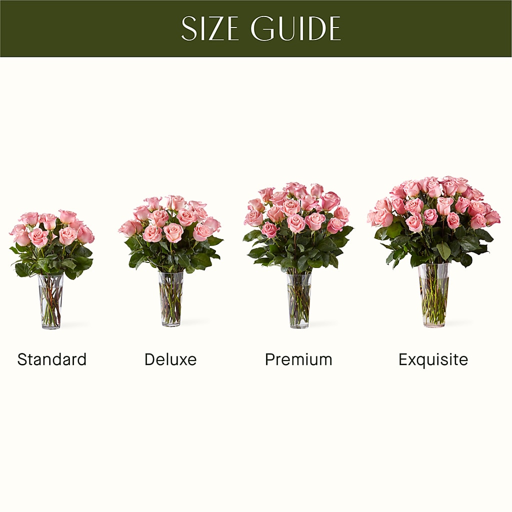 Long Stem Pink Rose Bouquet – Flowers On Fourteenth, Washington DC