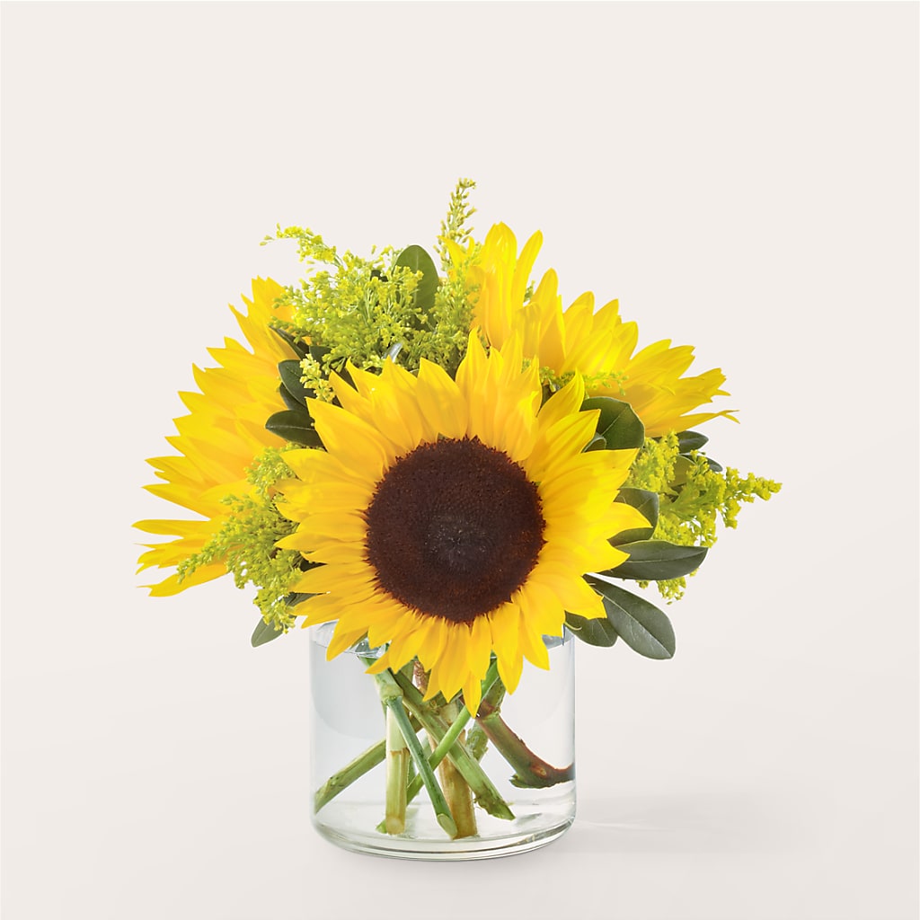 Beaming Sunflower Bouquet – Flowers On Fourteenth, Washington DC
