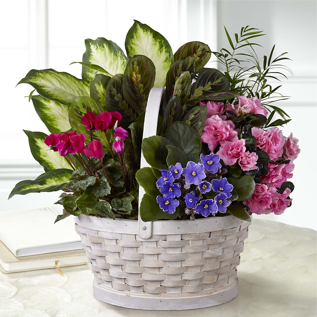 Peaceful Garden Planter – Flowers On Fourteenth, Washington DC