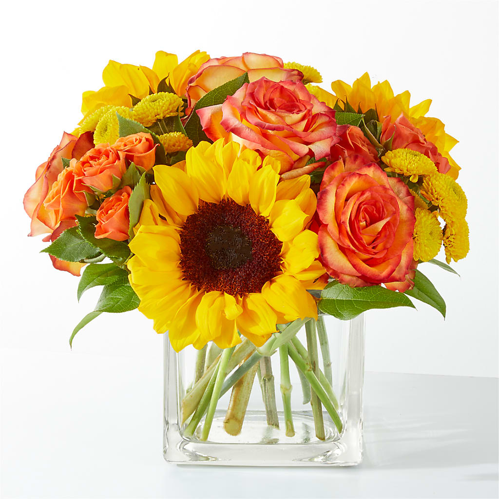 Picnic in the Park Bouquet – Flowers On Fourteenth, Washington DC