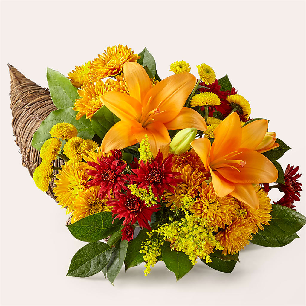 Feast of Color Cornucopia – Flowers On Fourteenth, Washington DC
