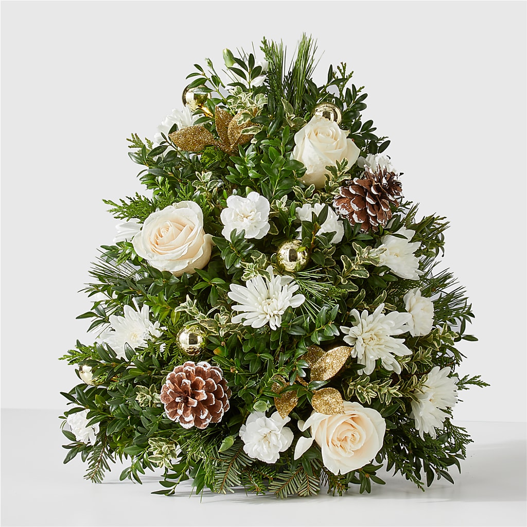 Snowed In Tree – Flowers On Fourteenth, Washington DC