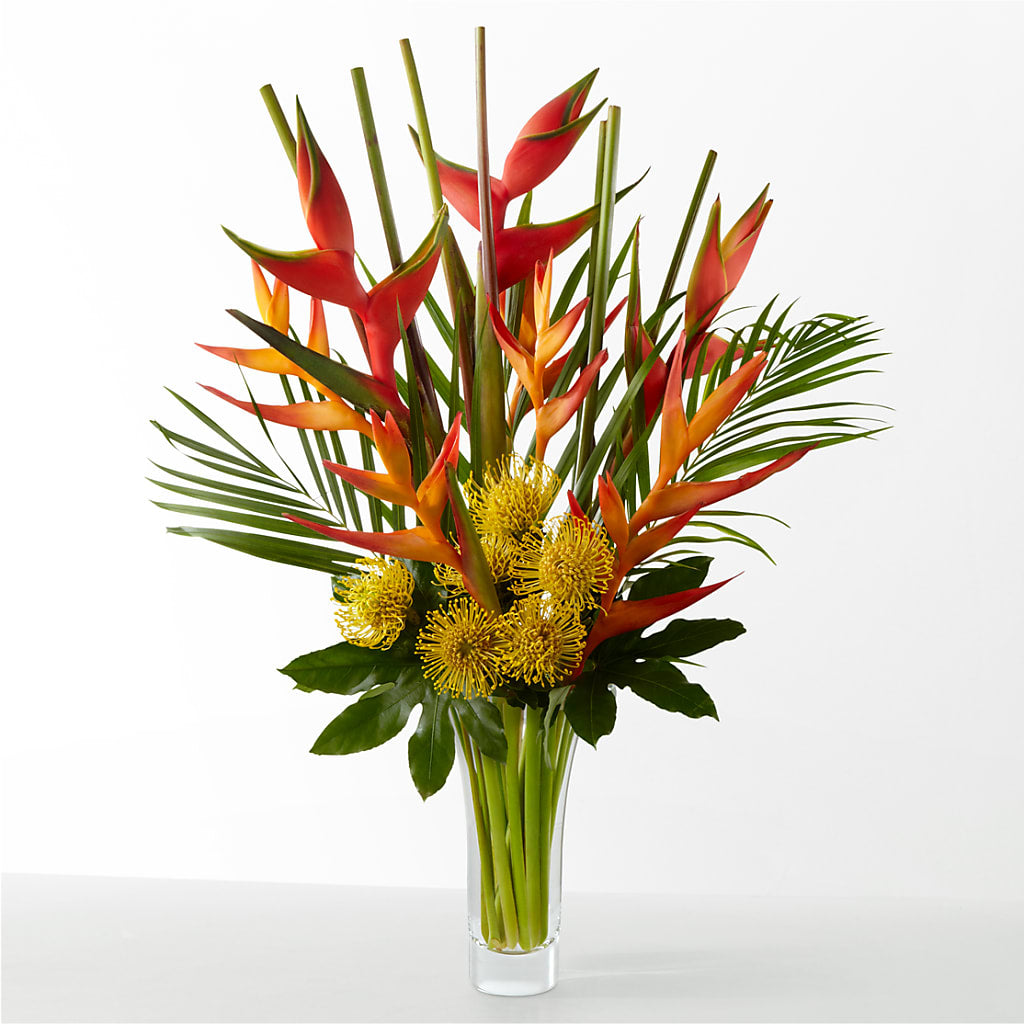 The Drama – Flowers On Fourteenth, Washington DC