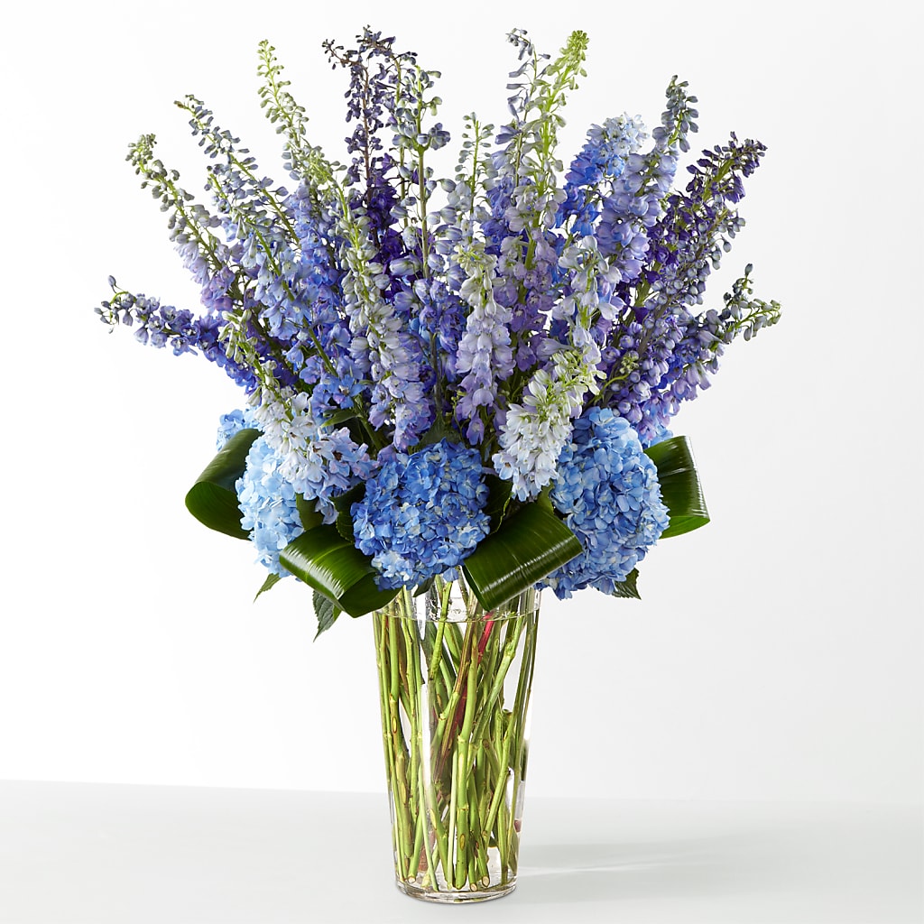 The Editorial – Flowers On Fourteenth, Washington DC