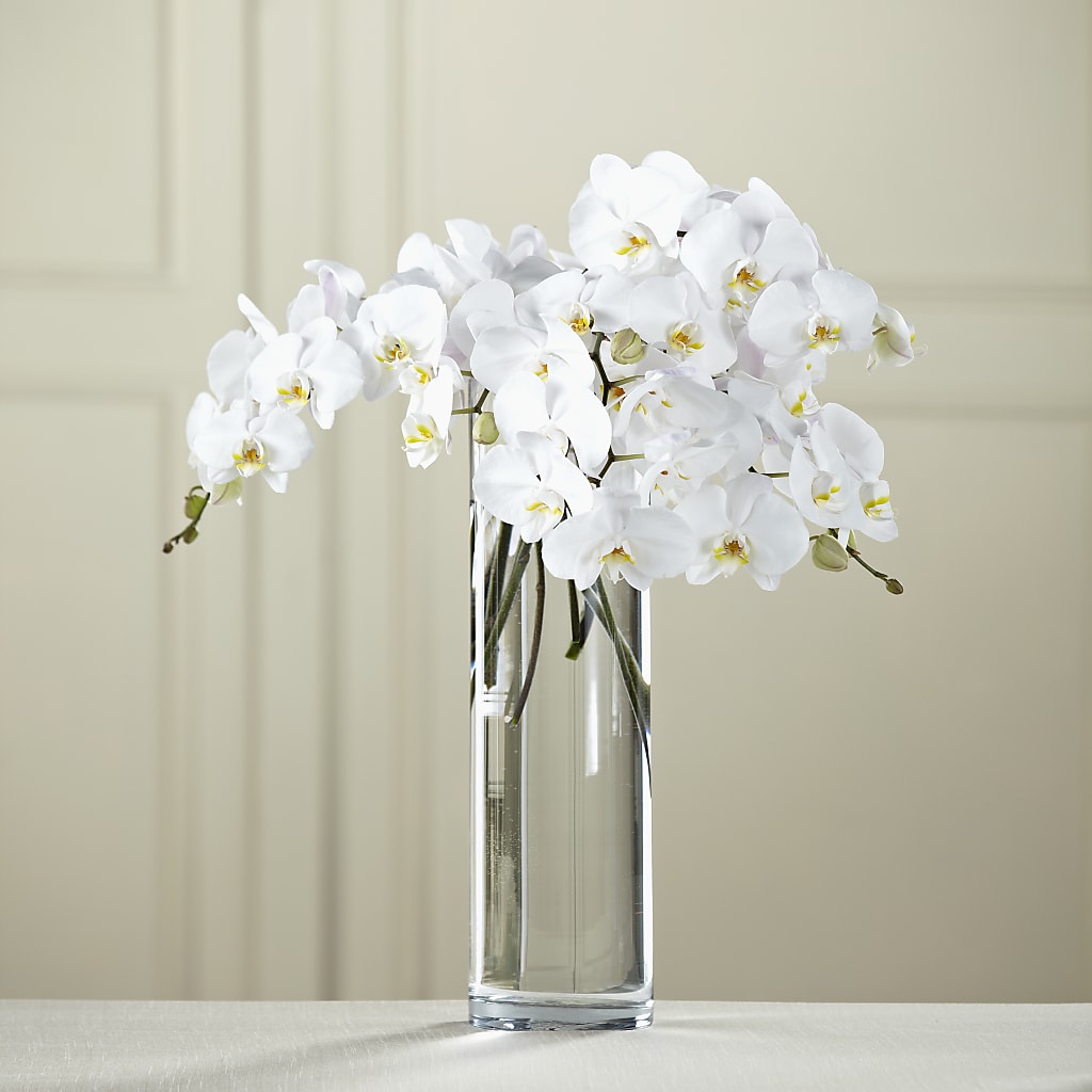 White Phalaenopsis Bouquet – Flowers On Fourteenth, Washington DC