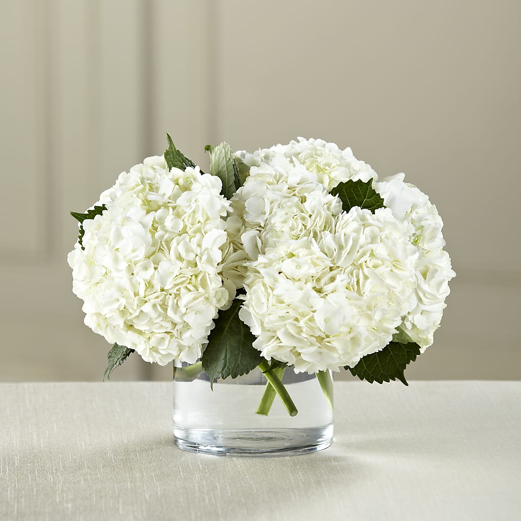 White Hydrangea Bouquet – Flowers On Fourteenth, Washington DC