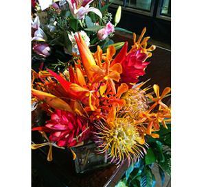 C3 –  Flowers On Fourteenth, Washington DC