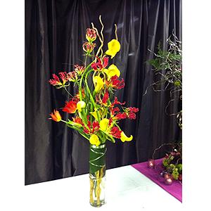 C4 –  Flowers On Fourteenth, Washington DC