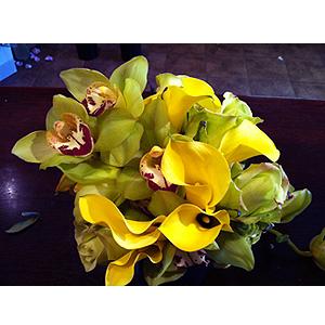 C6 –  Flowers On Fourteenth, Washington DC