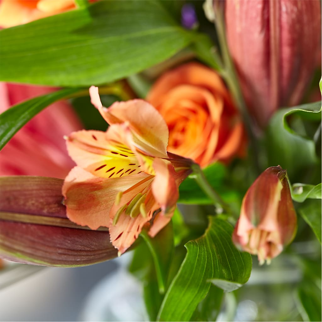 Bold & Bright – A Florist Original –  Flowers On Fourteenth, Washington DC