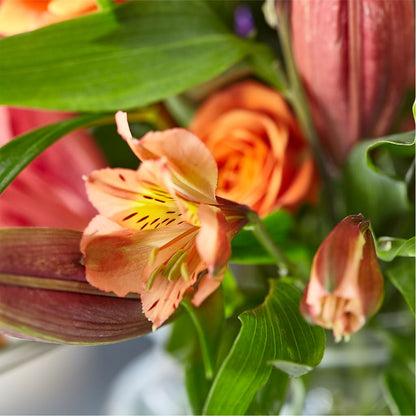 Bold & Bright – A Florist Original –  Flowers On Fourteenth, Washington DC