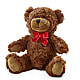 Adorable Plush Bear –  Flowers On Fourteenth, Washington DC