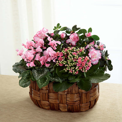 Pink Assortment –  Flowers On Fourteenth, Washington DC