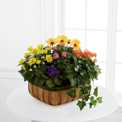Gentle Blossoms Basket –  Flowers On Fourteenth, Washington DC