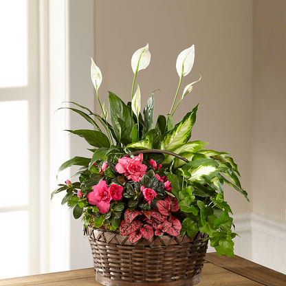 Dream in Pink Dishgarden –  Flowers On Fourteenth, Washington DC