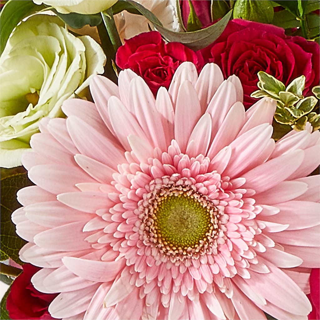 Too Cute Bouquet –  Flowers On Fourteenth, Washington DC