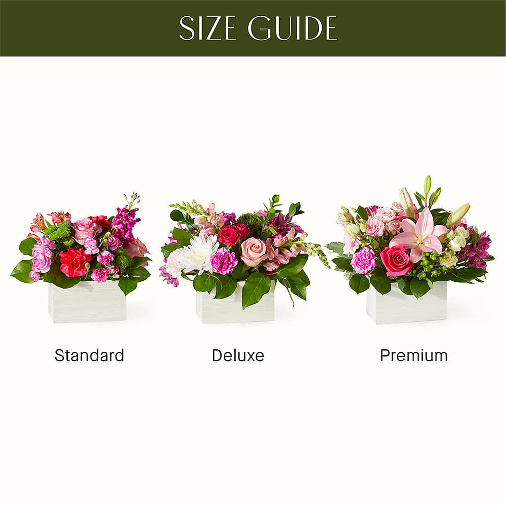 Sweetberry Box – A Florist Original –  Flowers On Fourteenth, Washington DC