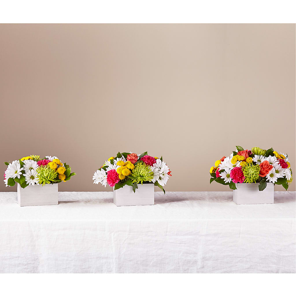 Sorbet Bouquet –  Flowers On Fourteenth, Washington DC