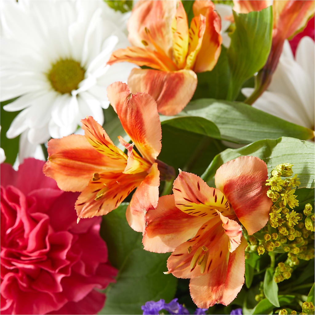 Oopsie Daisy Box Bouquet –  Flowers On Fourteenth, Washington DC
