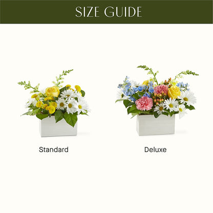 Sun Salutation Box Bouquet –  Flowers On Fourteenth, Washington DC