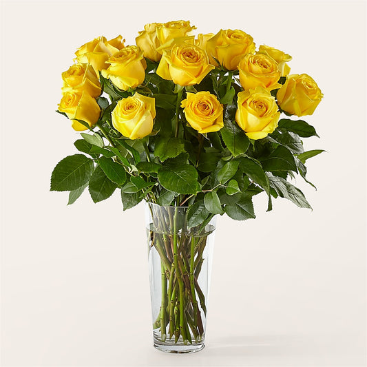 Long Stem Yellow Rose Bouquet –  Flowers On Fourteenth, Washington DC