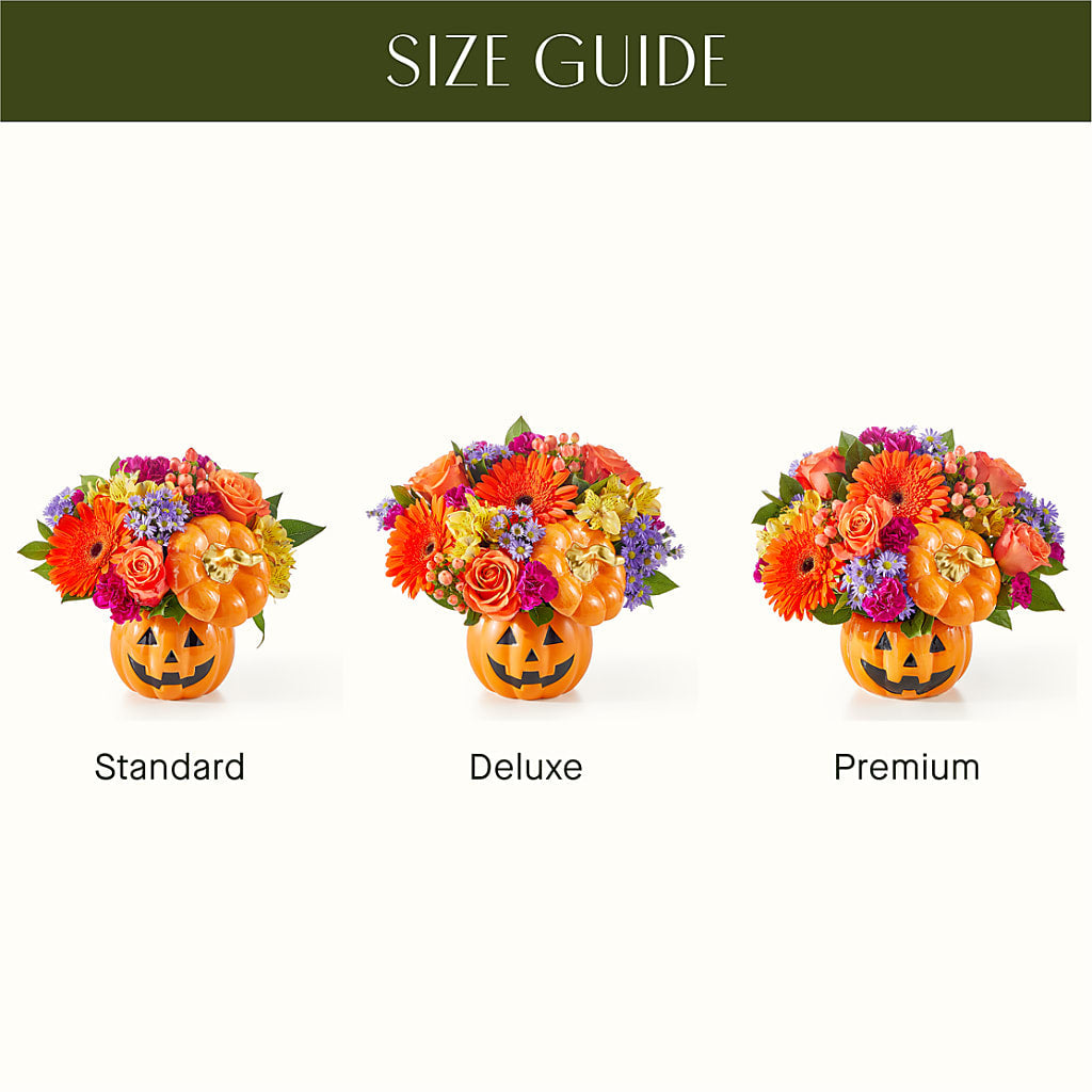 Tricks & Treats Pumpkin –  Flowers On Fourteenth, Washington DC