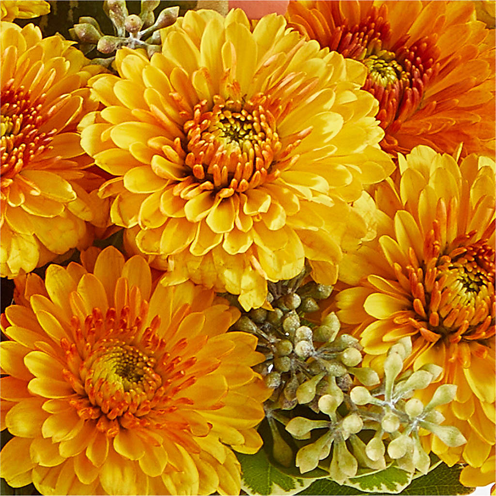 Peachy Pumpkin –  Flowers On Fourteenth, Washington DC