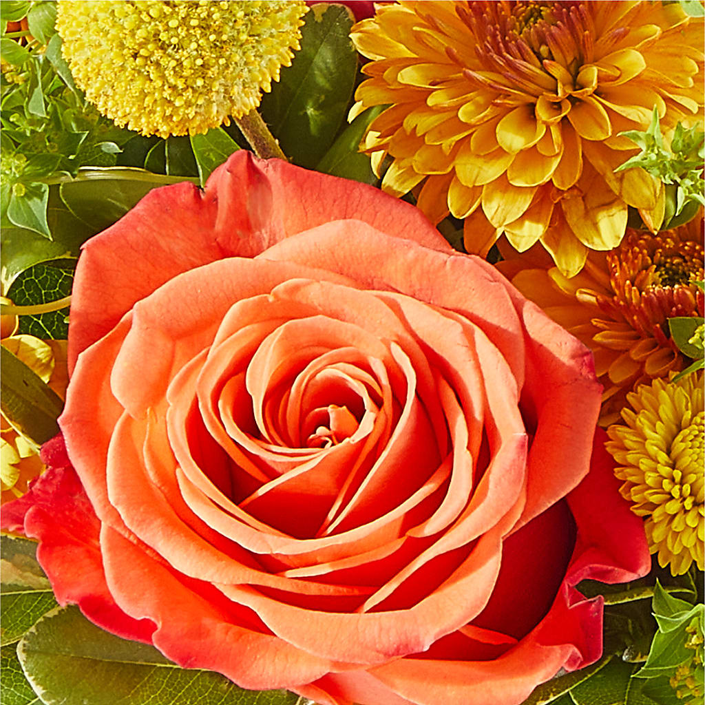 Gourdgeous Pumpkin –  Flowers On Fourteenth, Washington DC