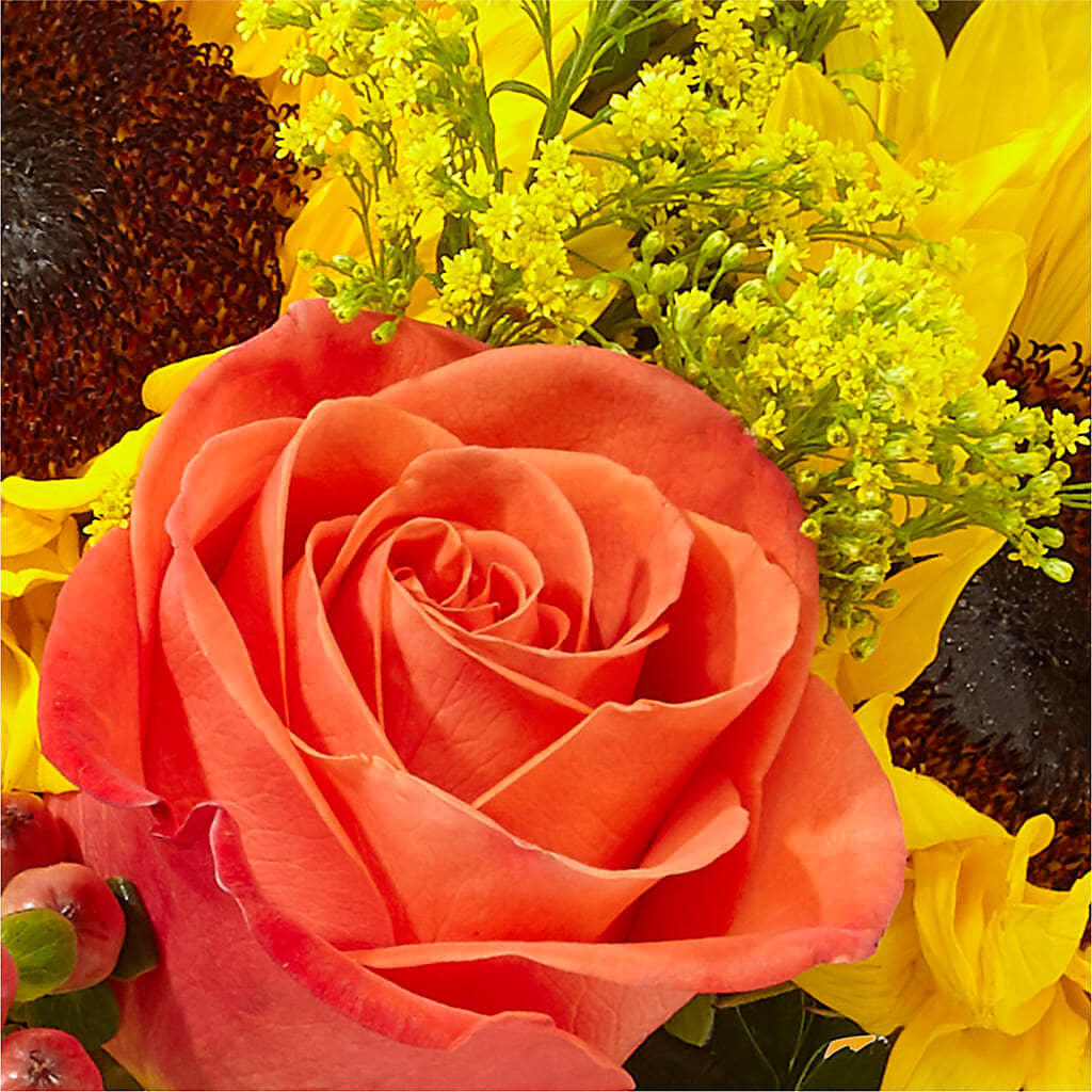 Pick of the Patch Pumpkin Bouquet –  Flowers On Fourteenth, Washington DC