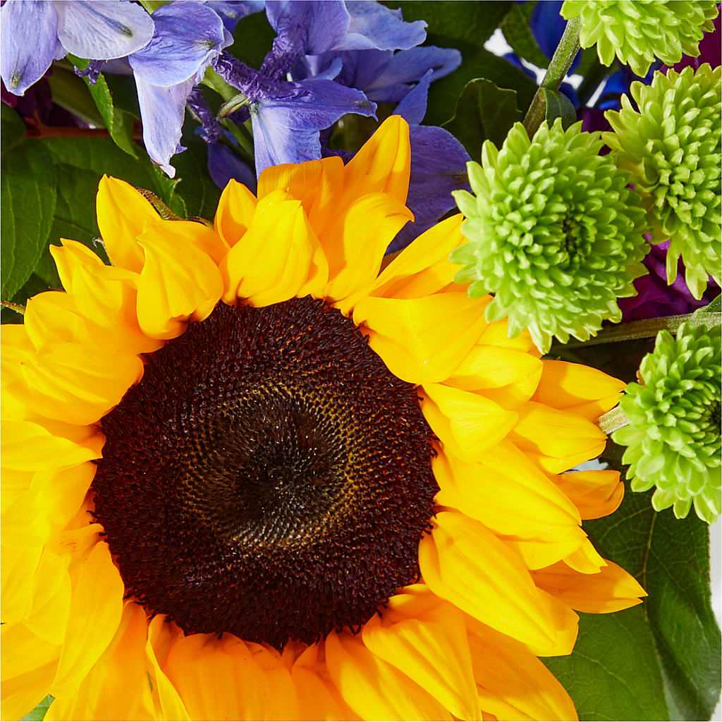 Catching Rays Bouquet –  Flowers On Fourteenth, Washington DC