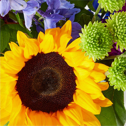 Catching Rays Bouquet –  Flowers On Fourteenth, Washington DC