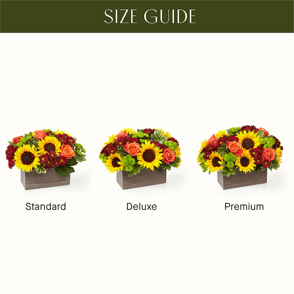 Happy Harvest Garden –  Flowers On Fourteenth, Washington DC