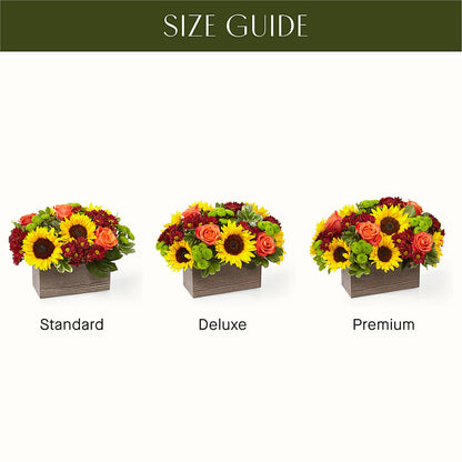 Happy Harvest Garden –  Flowers On Fourteenth, Washington DC