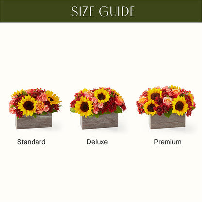 Fresh Cider Bouquet –  Flowers On Fourteenth, Washington DC