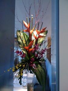 TROPICAL SPLENDOR –  Flowers On Fourteenth, Washington DC