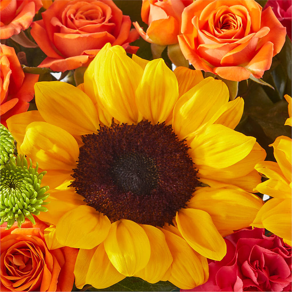 Sun-drenched Blooms Box Bouquet –  Flowers On Fourteenth, Washington DC