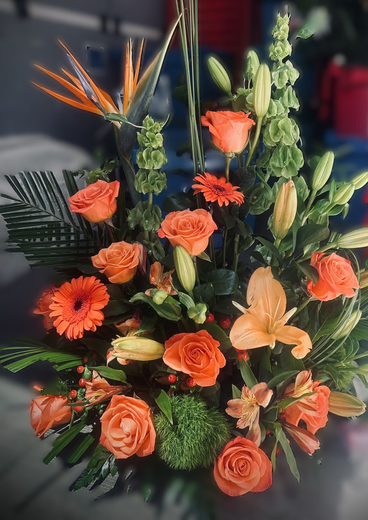 Neo Orange Machet