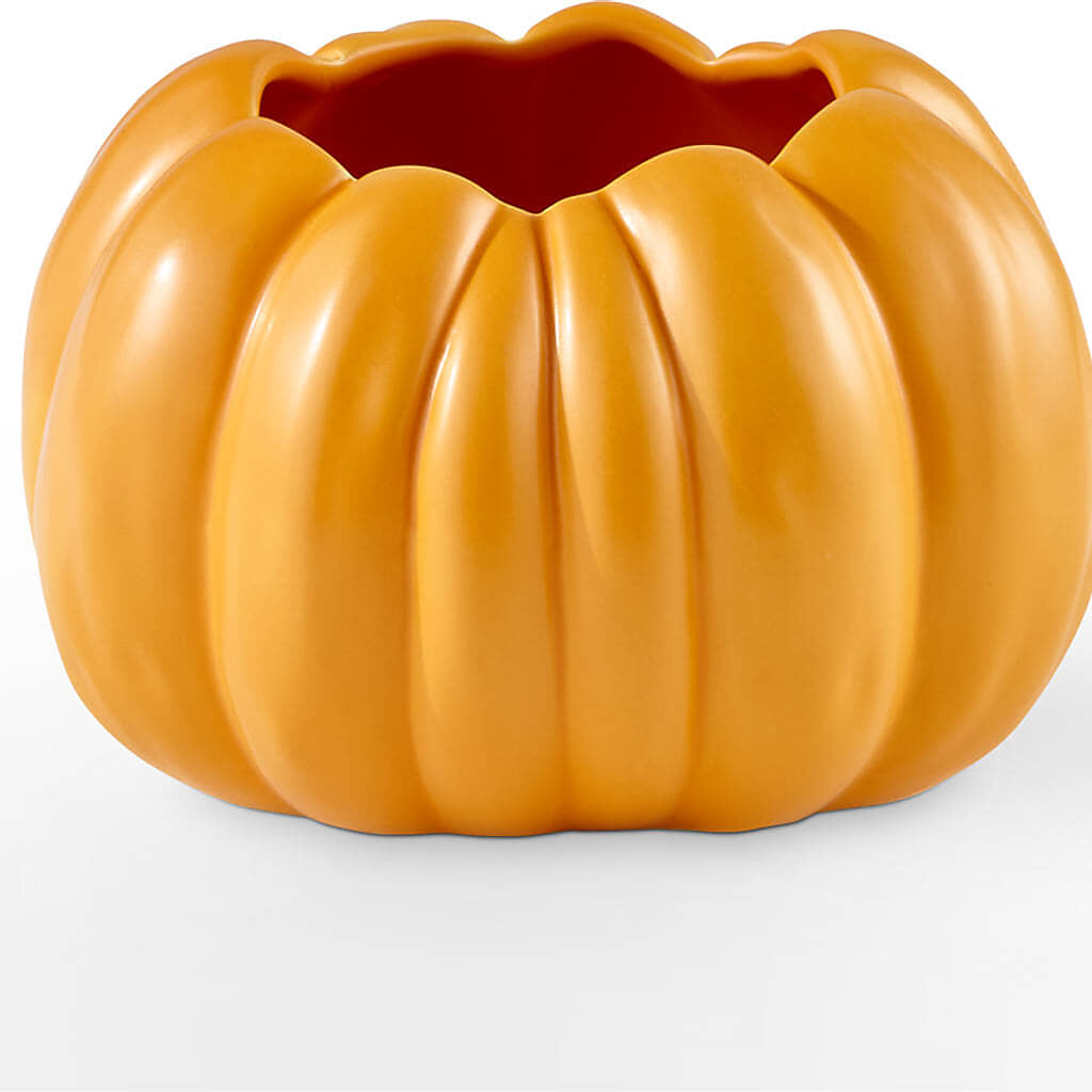 Pick of the Patch Pumpkin Bouquet –  Flowers On Fourteenth, Washington DC