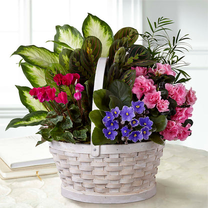 Peaceful Garden Planter –  Flowers On Fourteenth, Washington DC