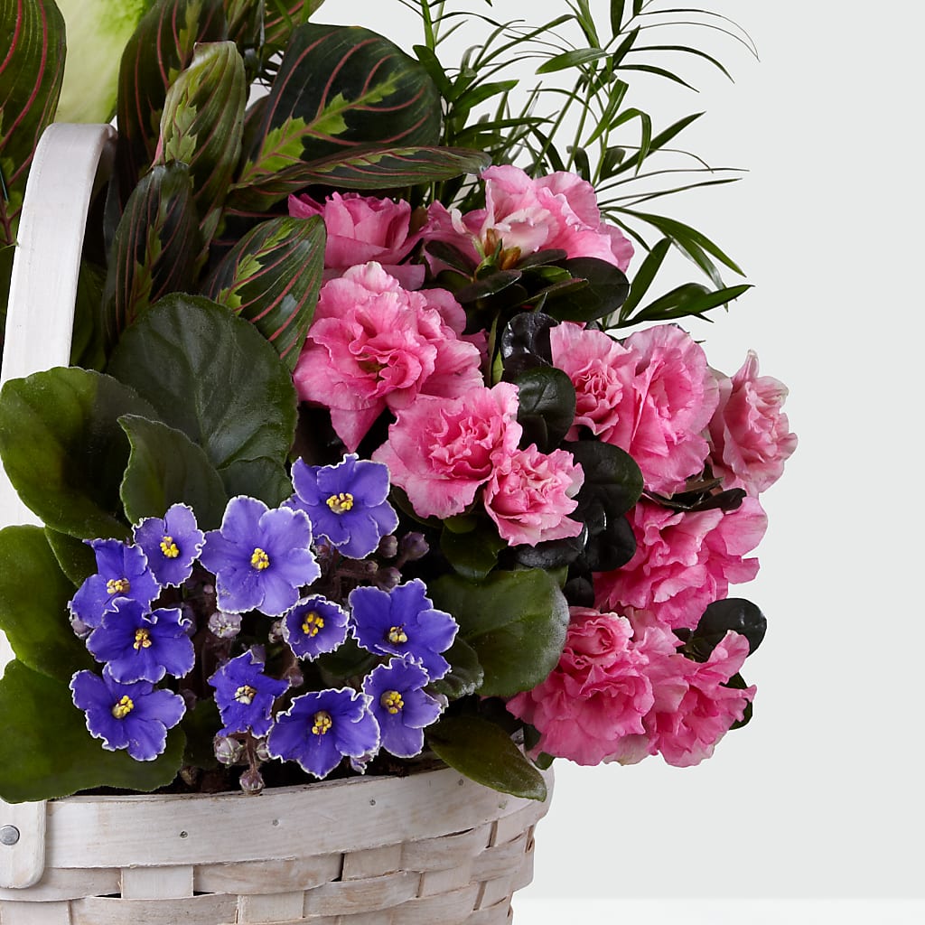 Peaceful Garden Planter –  Flowers On Fourteenth, Washington DC