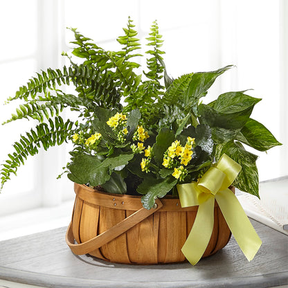 Always Dear Dishgarden –  Flowers On Fourteenth, Washington DC