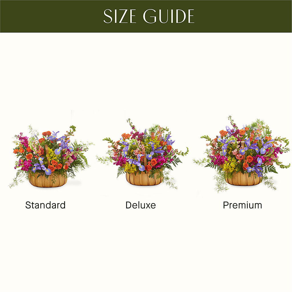 Garden of Life Basket –  Flowers On Fourteenth, Washington DC
