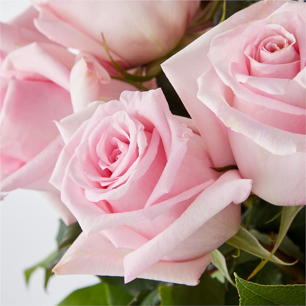 Picture Perfect Pink Rose Bouquet –  Flowers On Fourteenth, Washington DC