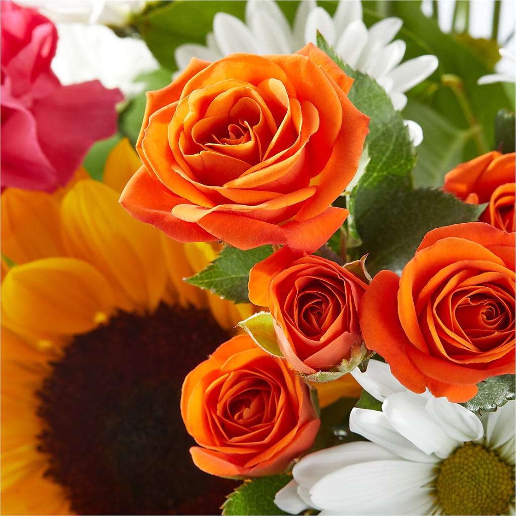 Sun-drenched Blooms Bouquet –  Flowers On Fourteenth, Washington DC